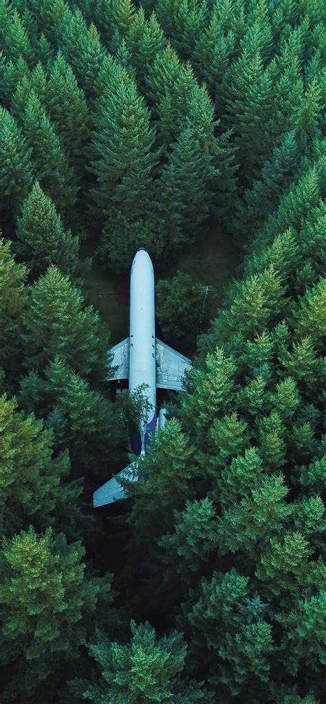 Airplane Wallpaper 4k Green Trees Photography 2981
