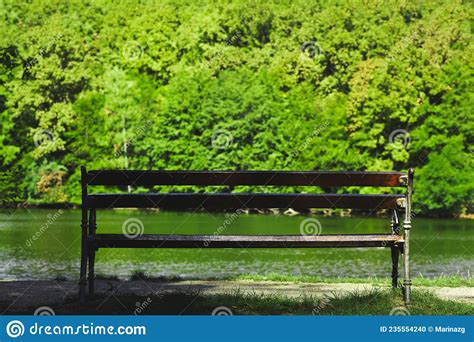 Wooden Bench On The Lake With Lush Green Trees Across Water Stock Photo