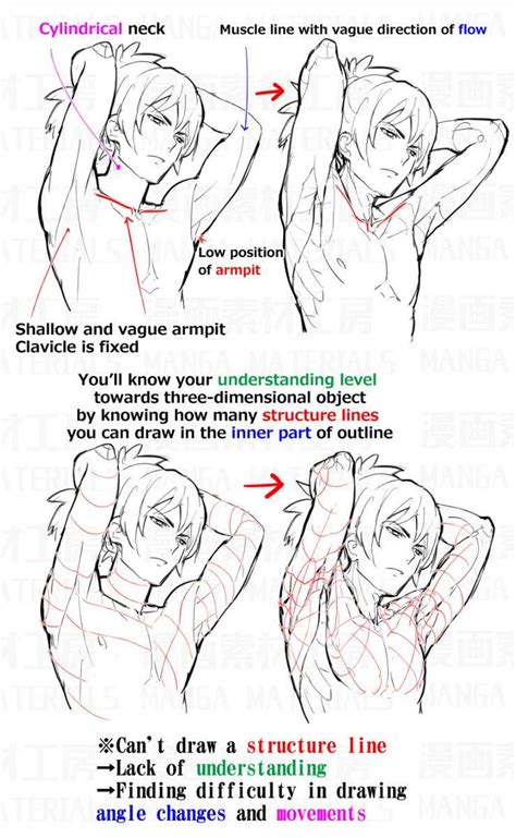Manga Materials On Twitter Drawing Reference Anatomy Drawing Anatomy Reference