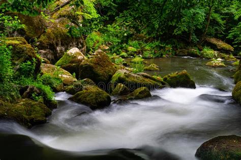Amazing View Of The Stream Of Water Surrounded With Moss And Green