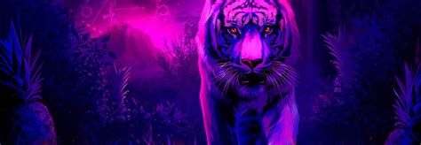Tiger Wallpaper Purple Hd Desktop Wallpapers 4k Hd