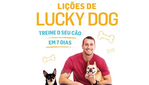 Julia london's hilarious and sweet romance you lucky dog. Livro | As lições de Lucky Dog - dogs-ptmagazine