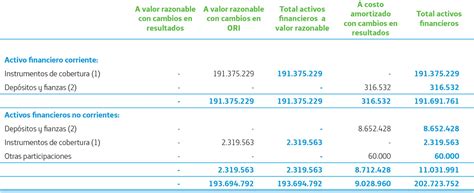 Estados Financieros Consolidados Informe De Gestión Responsable 2019