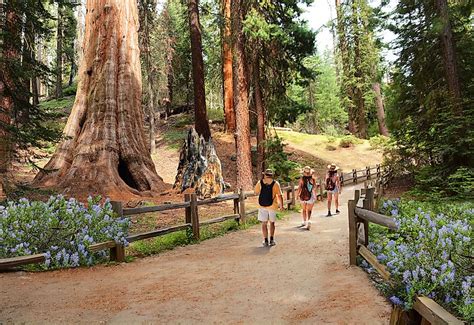 Kings Canyon National Park California Worldatlas