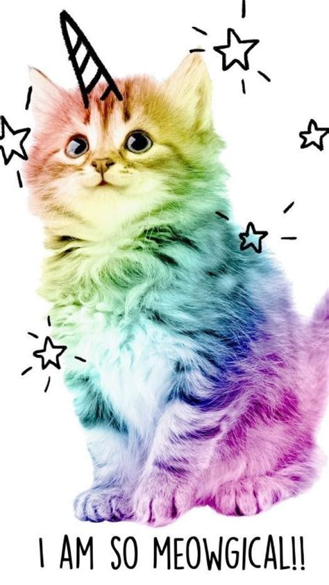 Its Unicorn Cat Rainbow Kittens Rainbow Cat Kittens Cutest Cats And