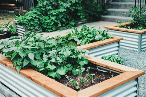 How To Make Affordable Raised Garden Beds