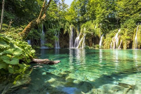 From Split Plitvice Lakes Fully Guided Day Tour Getyourguide