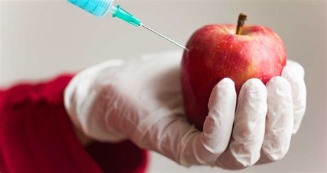 New Genetically Modified Food What You Need To Know