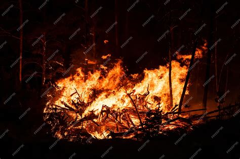 Premium Photo Big Flames Of Forest Fires At Night Intense Flames
