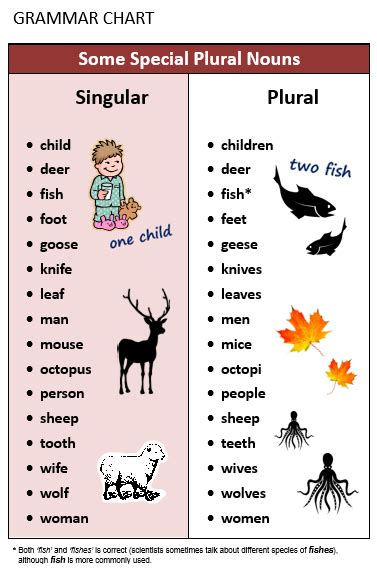 This question cannot be answered with yes or no. Plural & Singular Nouns - All Things Grammar