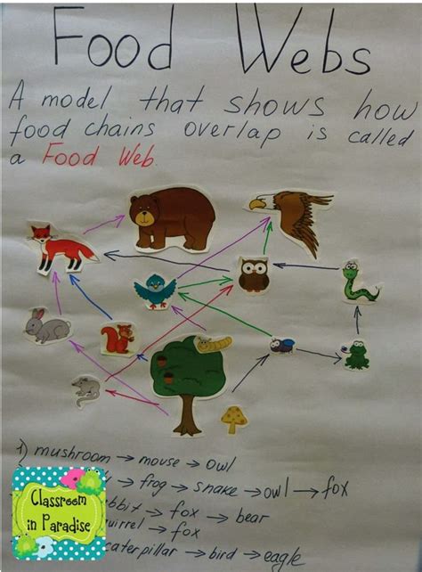 A food chain shows the feeding relationship between different living things in a particular environment or habitat. I love integrating Art into our Science lessons! I always ...