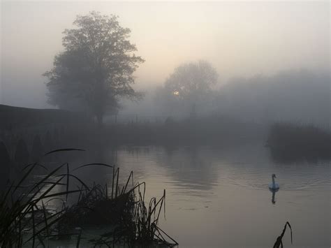Uk Weather Fog To Clear Making Way For Warmest November Day On
