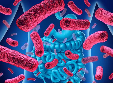 The Influential Role Of Gut Microbiome In Cancer Therapy Geneonline News