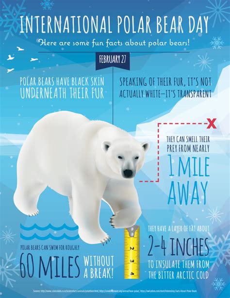 Happy International Polar Bear Day Childtime