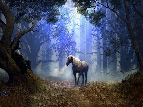 In The Woods Unicorns Wallpaper 10473866 Fanpop