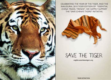 Save The Tiger Now And Ever The Wow Style