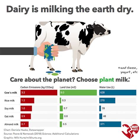 Dairy Is Milking The Earth Dry