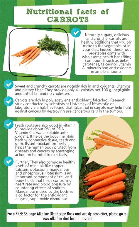Nutritional Facts Of Carrots