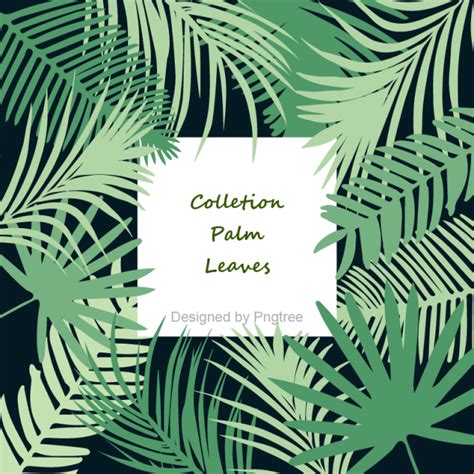 Green Leaves On A Black Background With The Words Collection Palm Leaves