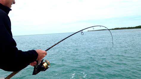 Key West Flats Fishing Fish Choices