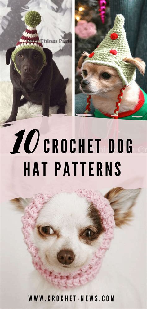 30 Crochet Dog Hat Patterns Crochet News