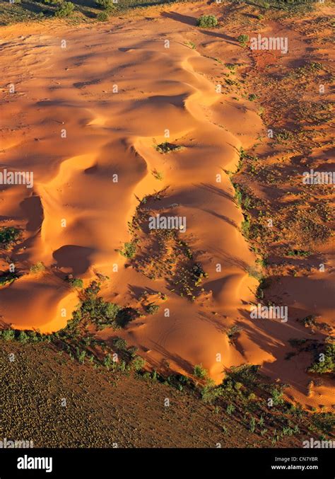 Low Altitude Aerial Photo Of Red Sand Dunes Outback Nsw Australia