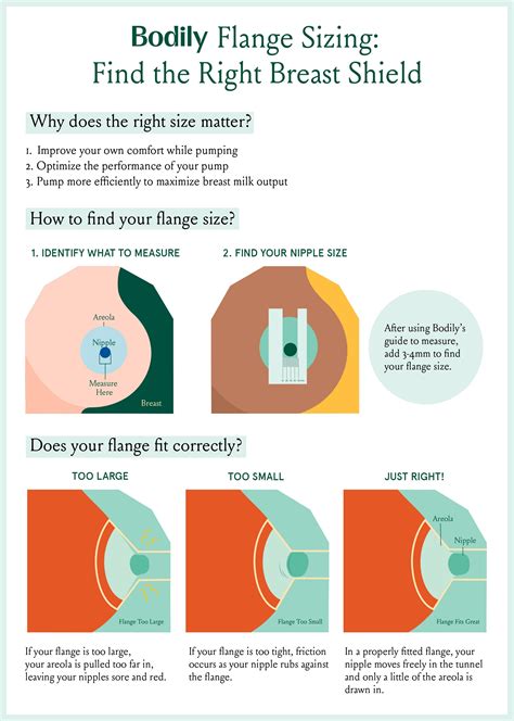 Flange Size Ruler Printable