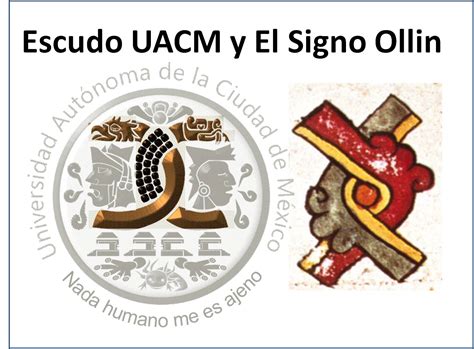 The leading online retailer for rider flip flops. UACM logotipo (no oficial)