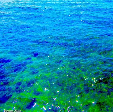 Sea Colors Blue Green Beautiful Lebanon Lebanon In A Picture