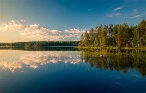 Wallpaper Forest Lake Reflection Finland Finland Boiler Lake Lake