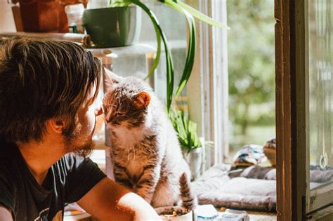 Cat Mindfulness How My Cats Teach Us To Be Mindful Every Day Catster
