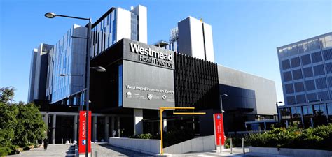 Meet Westmead Hospitals Executive Team Wslhd