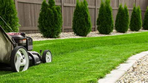Lawn Care Company Your Ultimate Guide To A Greener Healthier