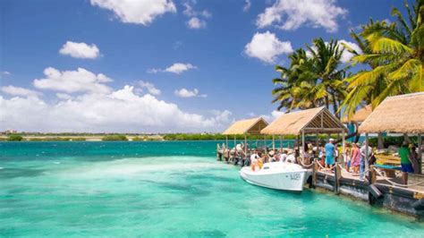 How To Visit Flamingo Beach Aruba 2023 Tips To Get Tickets
