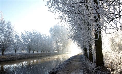 Photography Nature Landscape Winter Water River Trees Snow