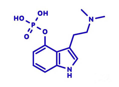 Psilocybin Molecule