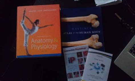 Fundamentals Of Anatomy And Physiology Martini Frederic H Nath Judi