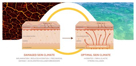 Skin Health Bend Beauty