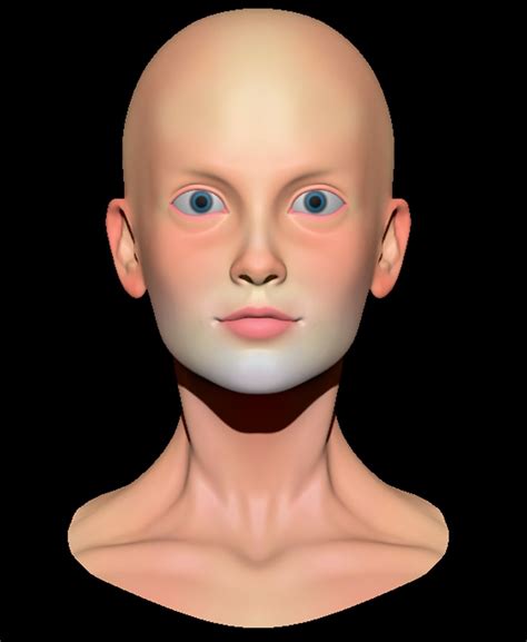 Symmetrical Female Head 3D Model 15 Ztl Obj Fbx Free3D
