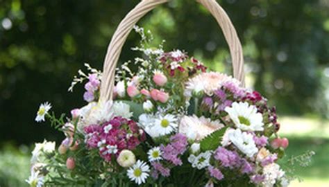 One with a large head and a long, smooth stem, suitable for tall arrangements or presentation bouquets; Common Flowers for Bouquets | Garden Guides