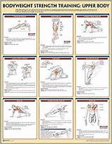 Upper Body Bodyweight Exercises Photos