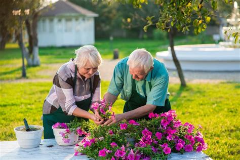 Senior Gardening Therapeutic Garden Benefits Stannah Blog