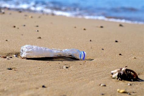 Más Del 80 Por Ciento De Los Residuos No Orgánicos En Playas