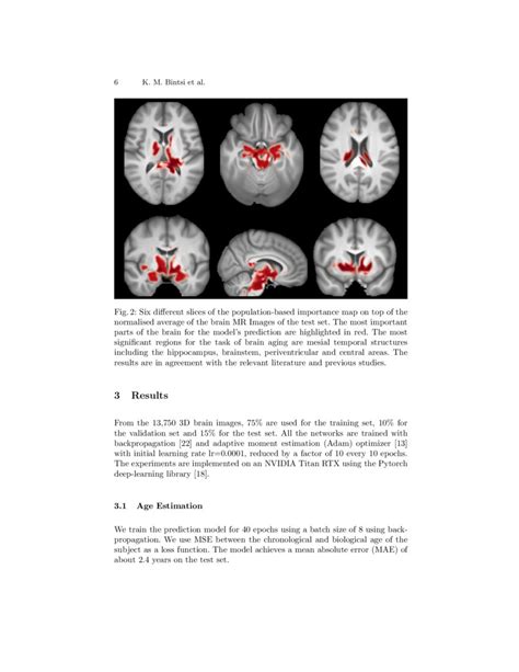 Voxel Level Importance Maps For Interpretable Brain Age Estimation Deepai