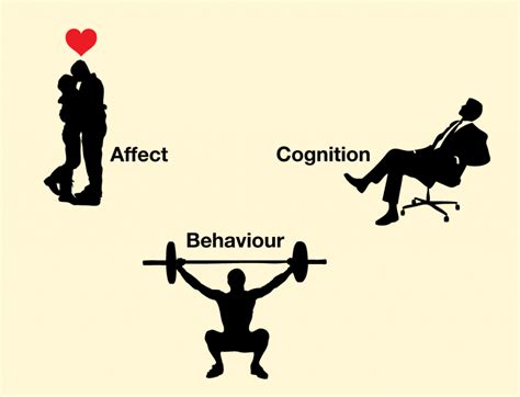 Affect Behavior And Cognition Principles Of Social Psychology 1st