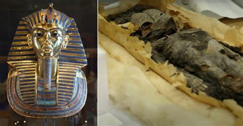 Mummies King Tut Of Egypt