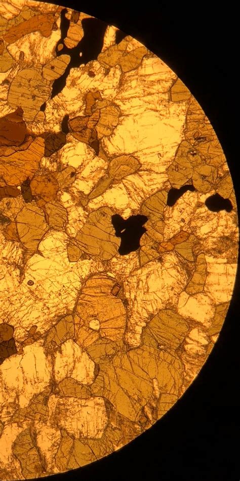 Optical Mineralogy On Tumblr Gabbronorite In Thin Section Plagioclase