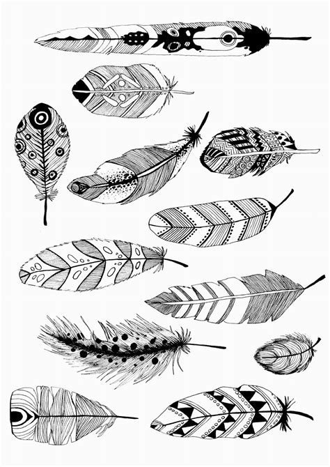 Adult Coloring Page Feathers