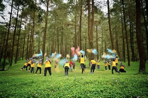 Menikmati Sejuknya Hutan Pinus Limpakuwus Tempat Wisata Di Kabupaten