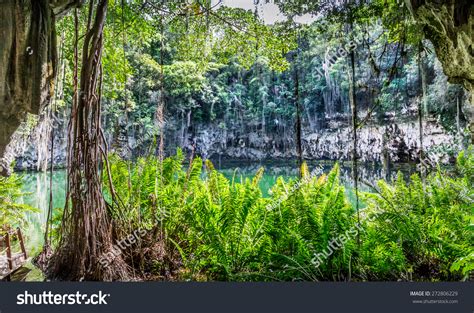 Cenote Santo Domingo Dominican Republic Stock Photo 272806229